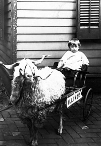 baby in Illinios buggy